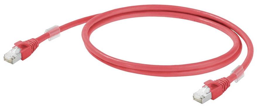 Rotes Netzwerkkabel mit zwei RJ45-Steckern, üblicherweise verwendet zur Verbindung von Computern mit einem Netzwerk.