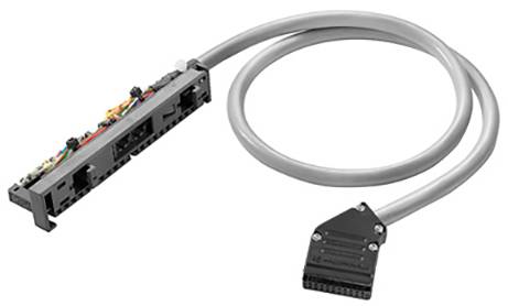 Ein graues RJ21-Kabel, verbunden mit einem schwarz-grauen Patchpanel, das für Netzwerkverbindungen verwendet wird.