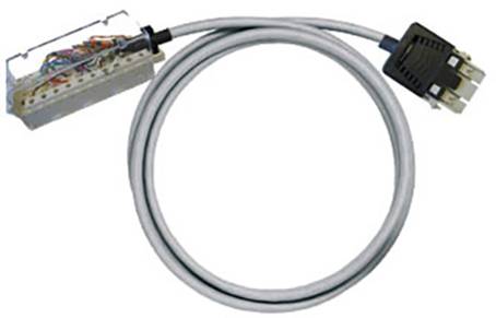 Ein Computerkabel mit einem offenen Stecker, der bunte Drähte zeigt, ist spiralförmig gelegt.