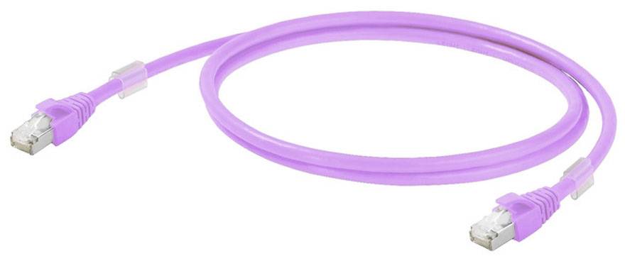 Ein violettes Netzwerkkabel mit zwei Steckern auf beiden Enden, geeignet für die Verbindung von Computern und Netzwerkgeräten.