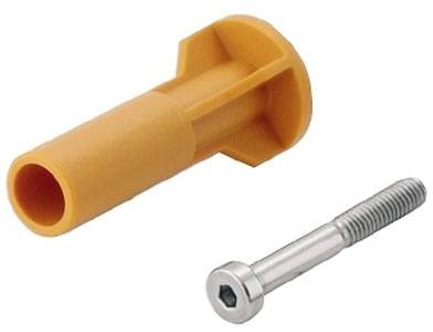 Ein orangefarbenes Kunststoffdübel und eine silberne Schraube mit Innensechskant liegen nebeneinander auf einem weißen Hintergrund.