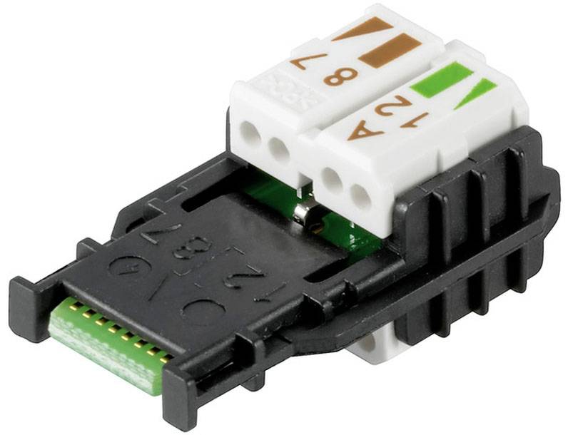 Ein RJ45-Netzwerkstecker in Nahaufnahme mit Farbmarkierungen für Kabelanschlüsse.
