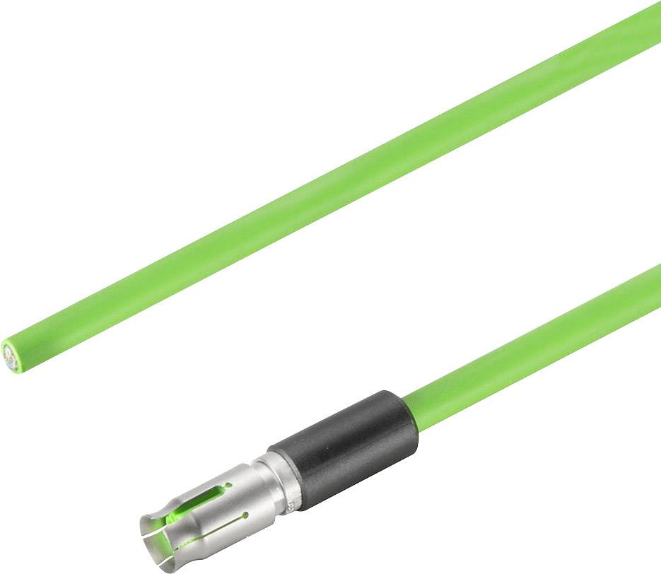 Grüner Ladestecker für Elektrofahrzeuge, bestehend aus einem metallischen Stecker und einem langen, grünen Kabel.