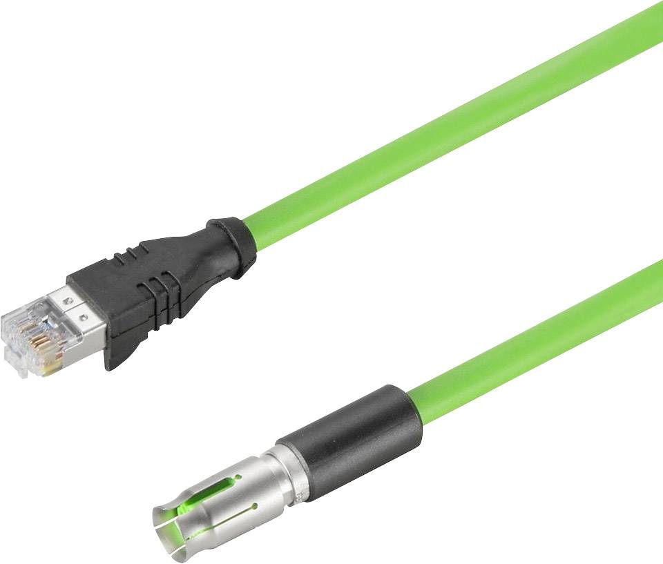Grünes Ethernet-Kabel mit RJ45-Stecker und einem anderen Metallanschluss. Verwendet für Netzwerkverbindungen.