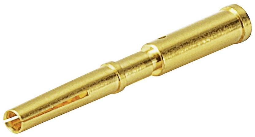 Goldener Metallstift auf weißem Hintergrund. Er hat eine konische Form mit einer schmalen Spitze und einem breiteren oberen Ende.
