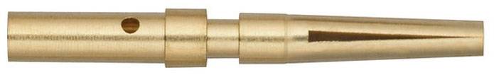 Goldenes Metallteil mit zylindrischem Körper und konischem Spitzenende, verwendet als Düse oder Adapter in technischen Geräten.