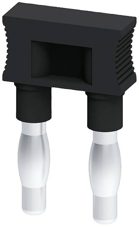 Ein schwarzer, rechteckiger Kunststoffstecker mit zwei silbernen runden Stiften, die nach unten zeigen.