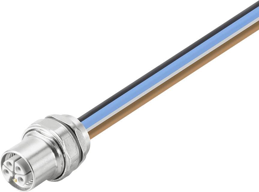 Ein elektrischer Stecker mit drei farbigen Drähten: Schwarz, Blau und Braun.