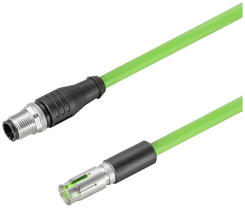 Weidmüller 2451120030 Sensor-/Aktor-Datensteckverbinder, konfektioniert 0.30 m 1 St.