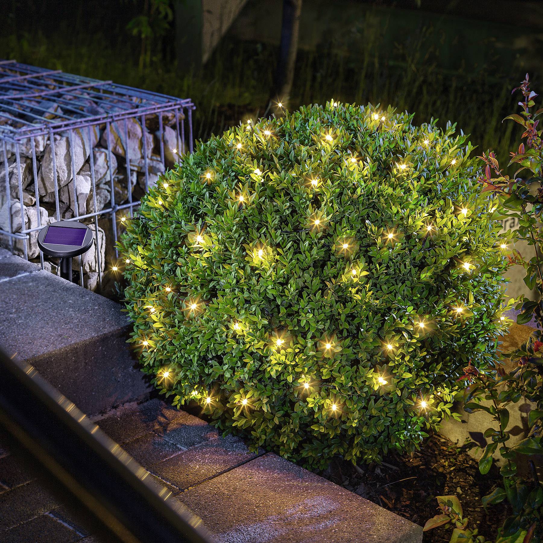 Esotec 102168 Solar-Lichterkette Außen solarbetrieben Anzahl Leuchtmittel 60 LED Warmweiß Beleuchtete Länge: 6m mit Erdspieß, mit