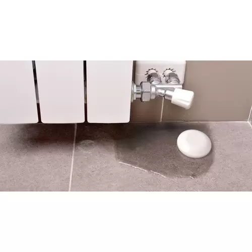 Shelly Flood Wassermelder Wi-Fi Shelly Flood Wassermelder Wi-Fi