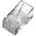Digitus A-MO 8/8 SR CAT 5e RJ45 Modular-Stecker, ungeschirmt A-MO 8/8 SR Stecker, gerade Polzahl 8P8C Digitus A-MO 8/8 SR CAT 5e RJ45 Modular-Stecker, ungeschirmt A-MO 8/8 SR Stecker, gerade Polzahl 8P8C
