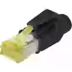 Digitus A-MO6 8/8 HRS CAT 6 RJ45 Modular-Stecker, geschirmt, inkl. Knickschutztülle A-MO6 8/8 HRS Stecker, gerade Polzahl 8P8C Digitus A-MO6 8/8 HRS CAT 6 RJ45 Modular-Stecker, geschirmt, inkl. Knickschutztülle A-MO6 8/8 HRS Stecker, gerade Polzahl 8P8C