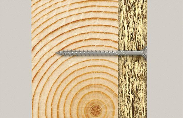 Eine Schraube ist in ein Holzstück geschraubt. Links zeigt das Holz Schnittmuster mit Jahresringen, rechts ist die Rinde sichtbar.