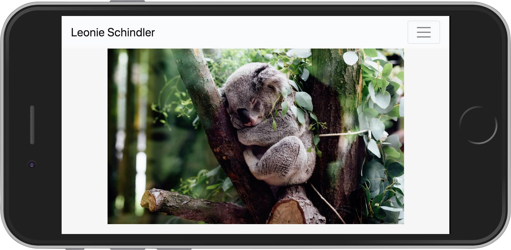 Mr. Signal cAPPito Minicomputer WLAN