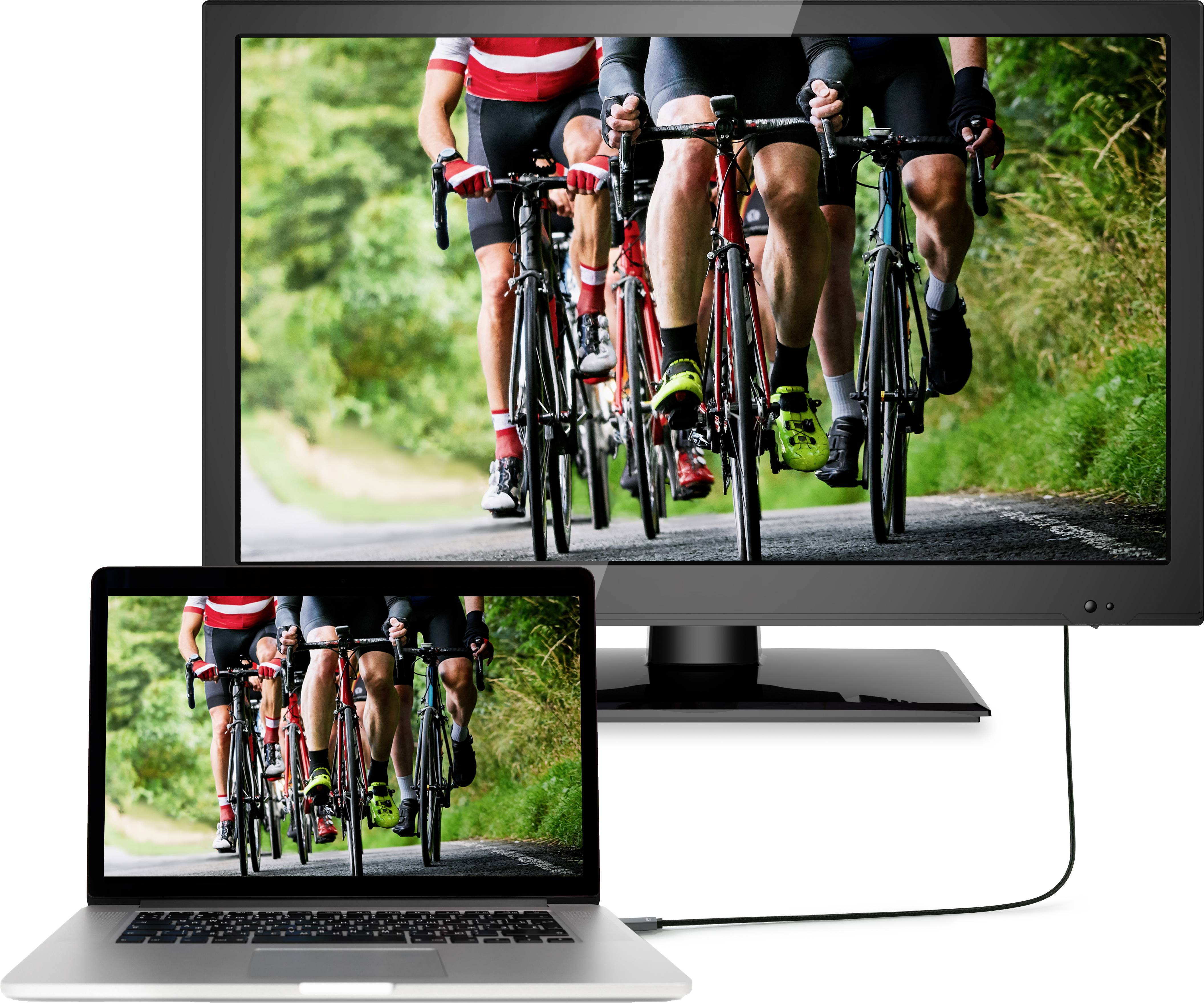 SpeaKa Professional DisplayPort Anschlusskabel DisplayPort Stecker, DisplayPort Stecker 1.80m Schwarz SP-8993884 DisplayPort 1.4