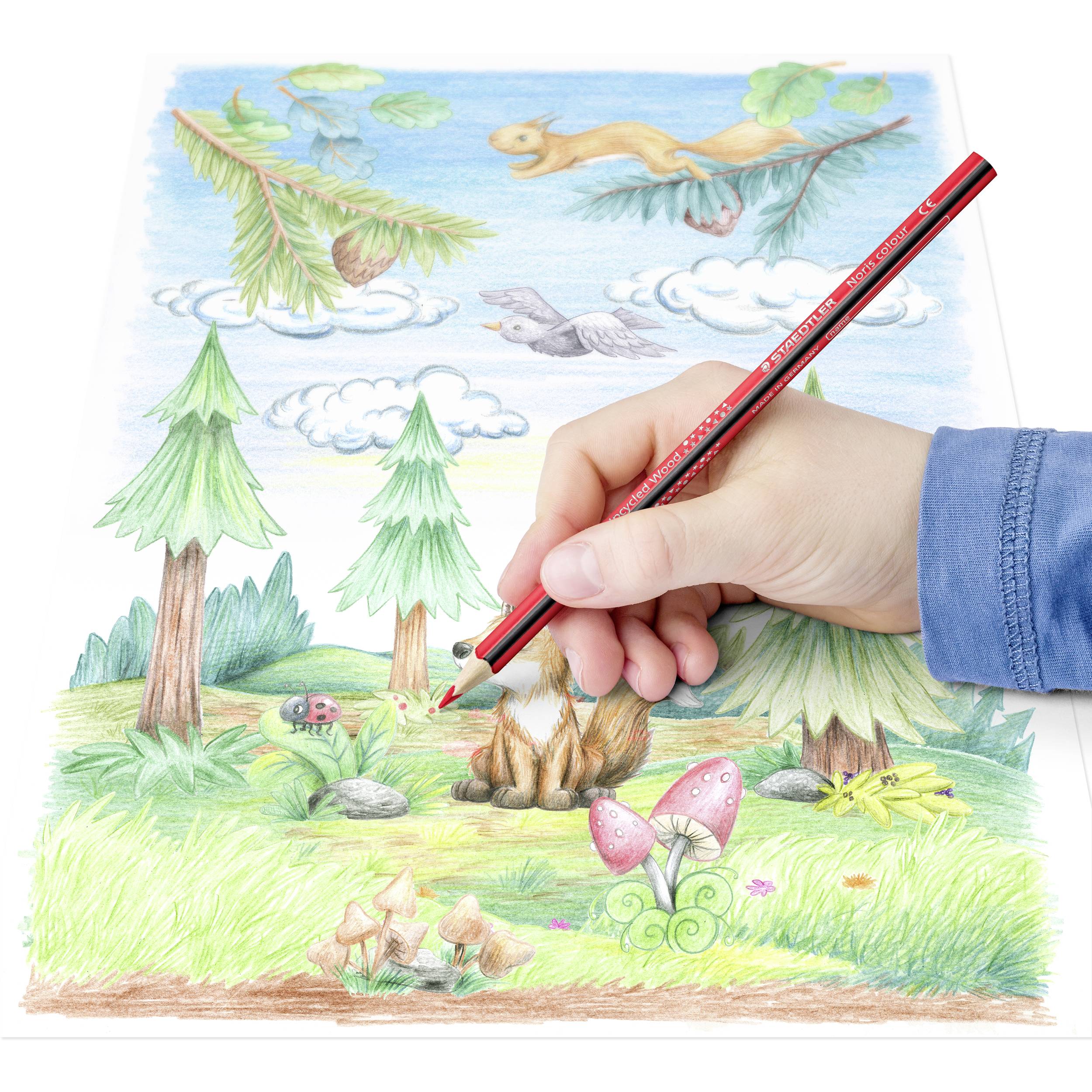 Staedtler Farbstift Noris dreikant 187 C18P1 1 Set