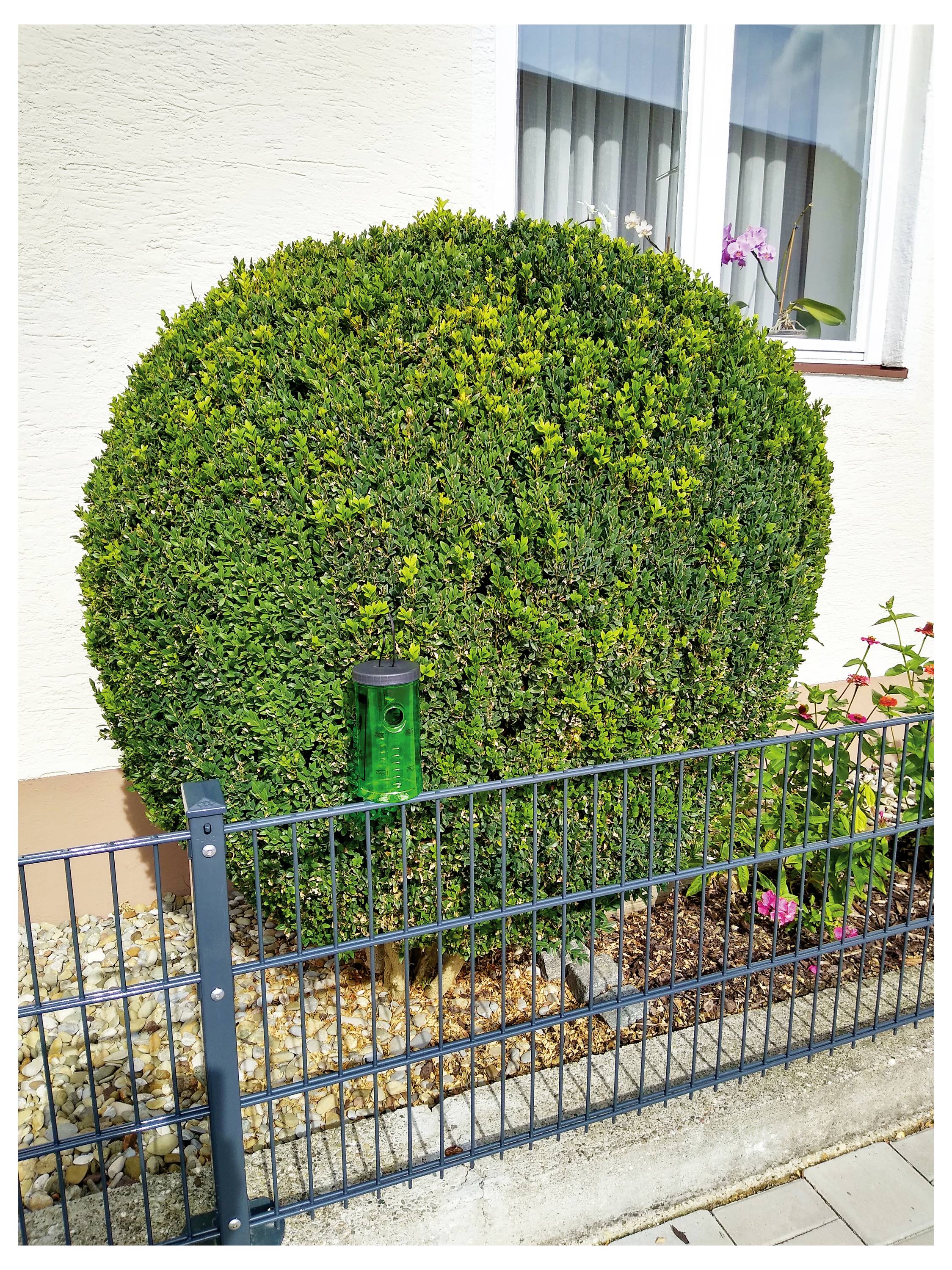 Swissinno Natural Control Tree Moth Trap 1 440 001K Buchsbaumzünsler-Falle Lockstoff Grün 1St.