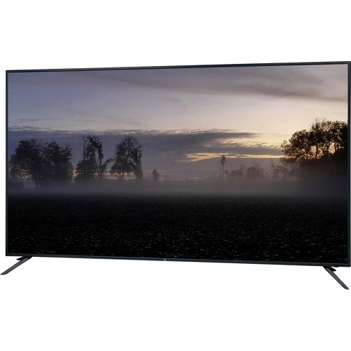 JayTech SG75U5568J LED-TV 189cm 75 Zoll EEK G (A - G) Schwarz