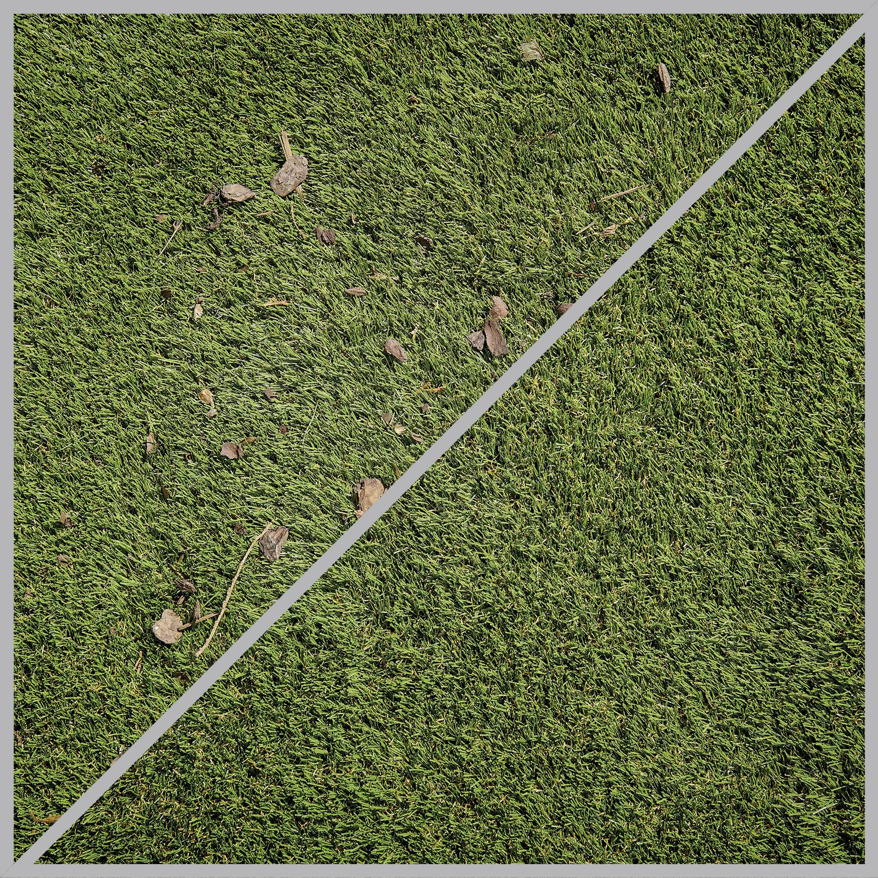 Ein Rasenfeld, diagonal geteilt: links ungemäht mit Laub, rechts frisch geschnitten und sauber.