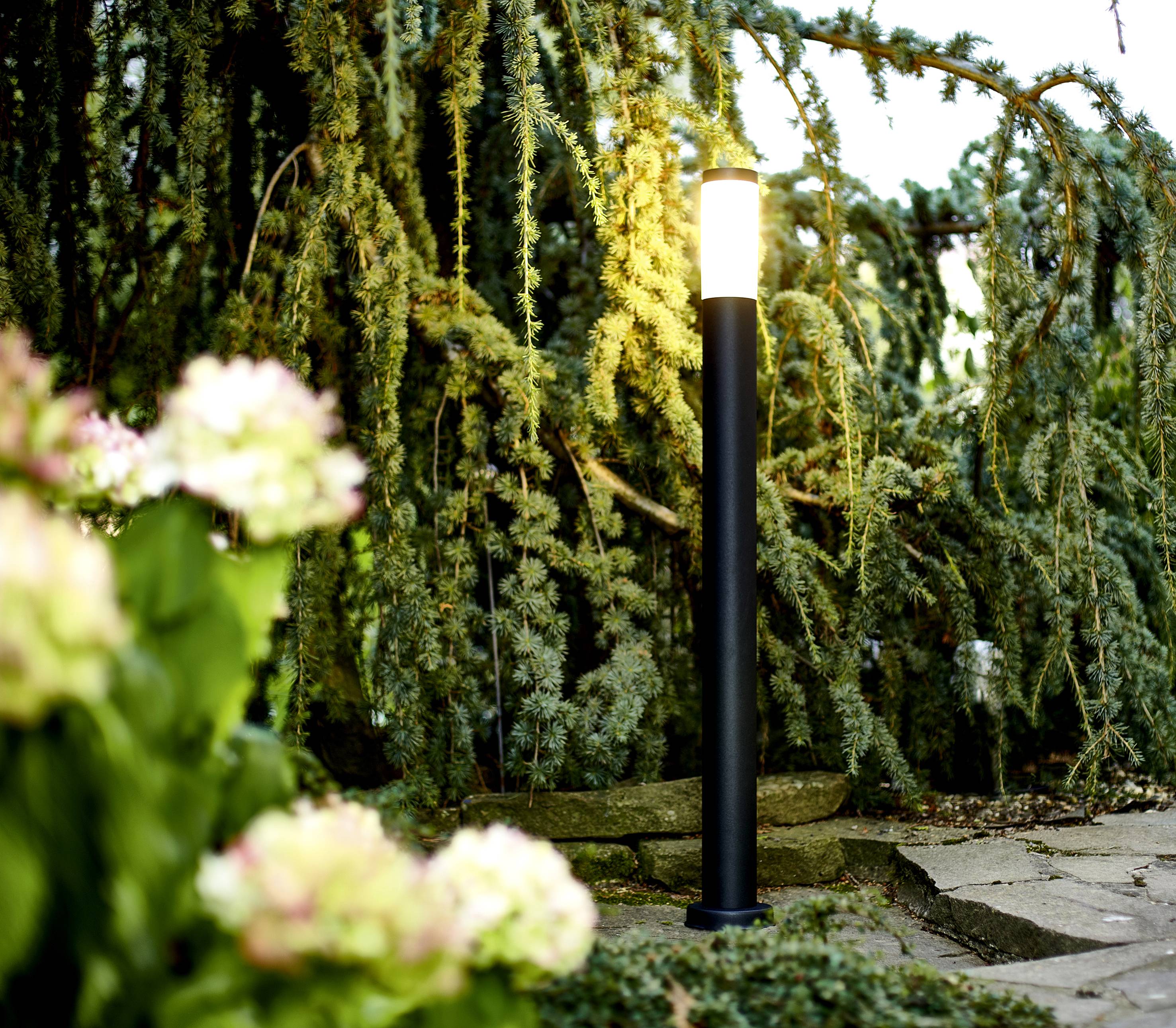 Ein beleuchteter Gartenweg mit Laterne, umgeben von blühenden Hortensien und Koniferen, schafft eine beruhigende Atmosphäre.