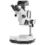 Kern OZM 544C825 Stereomikroskop Trinokular 45 x Auflicht, Durchlicht