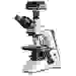 Kern OBN 132C825 OBN 132C825 Durchlichtmikroskop Trinokular 1000 x Durchlicht