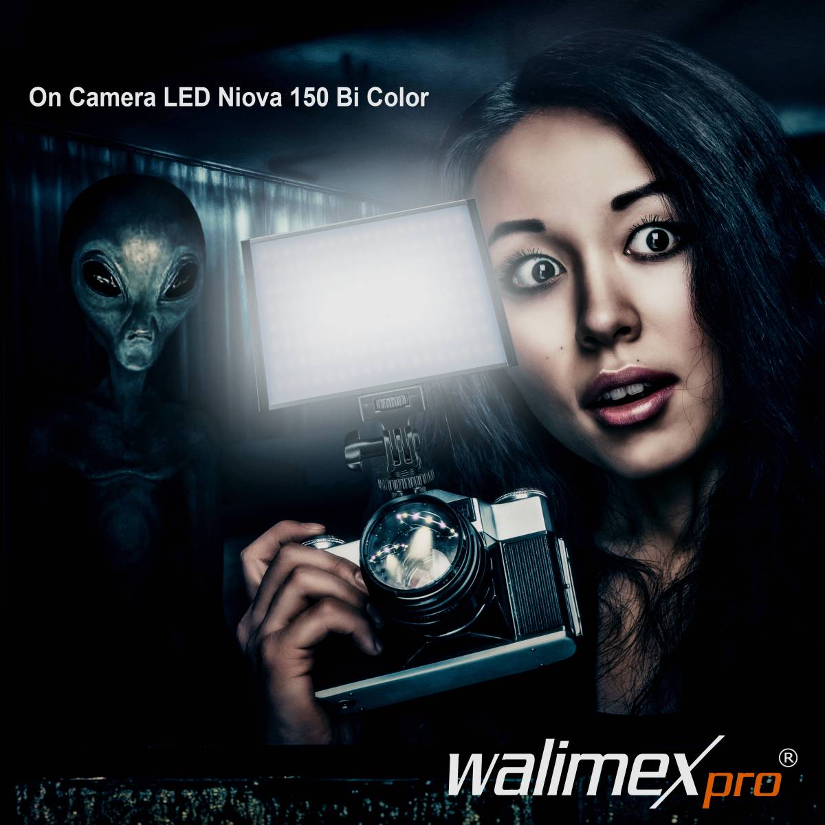 Walimex Pro 22764 LED Videoleuchte Anzahl LEDs=144