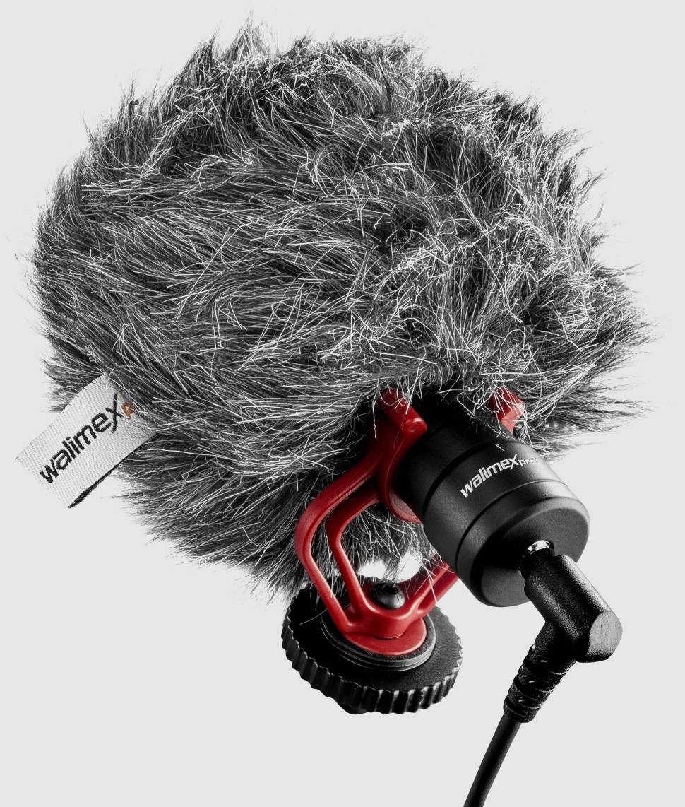 Walimex Pro 21964 Kamera-Mikrofon Übertragungsart (Details):Kabelgebunden inkl. Kabel, inkl. Tasche, inkl. Windschutz, inkl. Klammer, Standfuß Micr