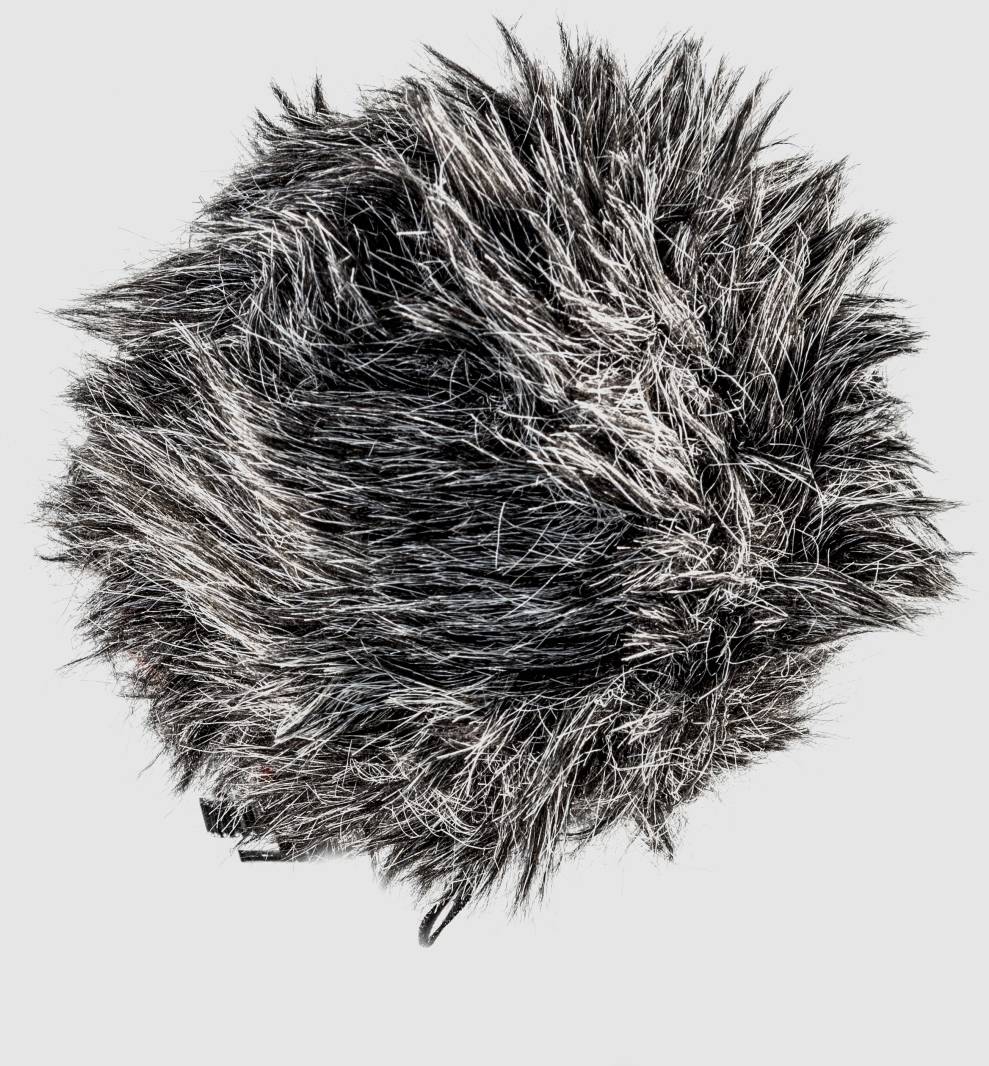 Walimex Pro 21964 Kamera-Mikrofon Übertragungsart (Details):Kabelgebunden inkl. Kabel, inkl. Tasche, inkl. Windschutz, inkl. Klammer, Standfuß Micr