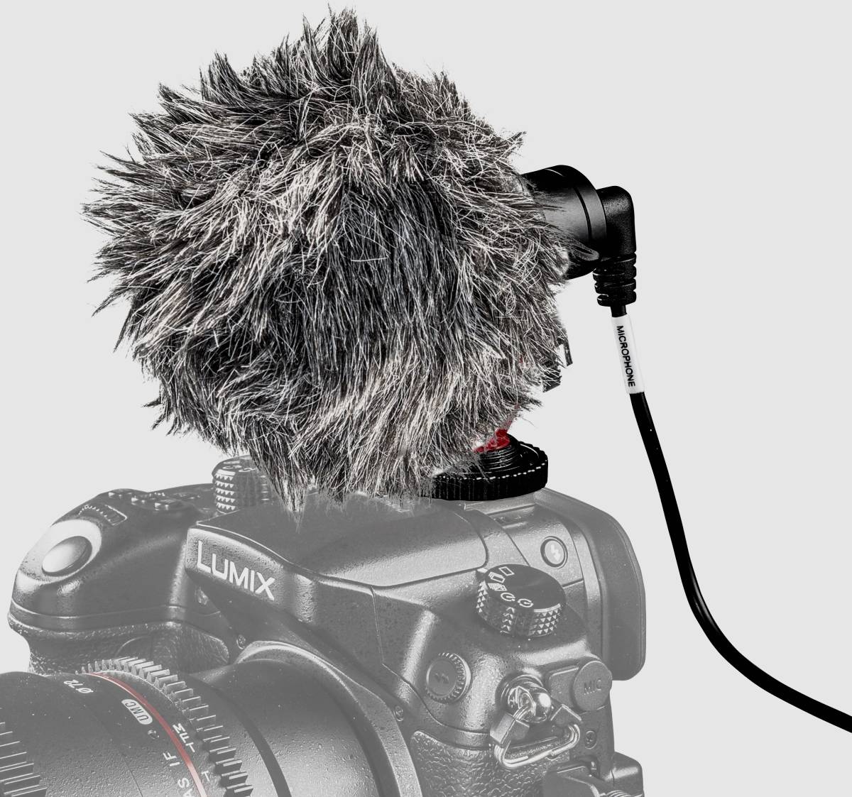 Walimex Pro 21964 Kamera-Mikrofon Übertragungsart (Details):Kabelgebunden inkl. Kabel, inkl. Tasche, inkl. Windschutz, inkl. Klammer, Standfuß Micr