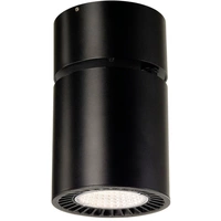 SLV 1003289 Deckenstrahler 31W Schwarz SLV 1003289 Deckenstrahler 31W Schwarz
