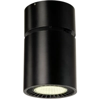 SLV 1003285 Deckenstrahler 36W Schwarz SLV 1003285 Deckenstrahler 36W Schwarz