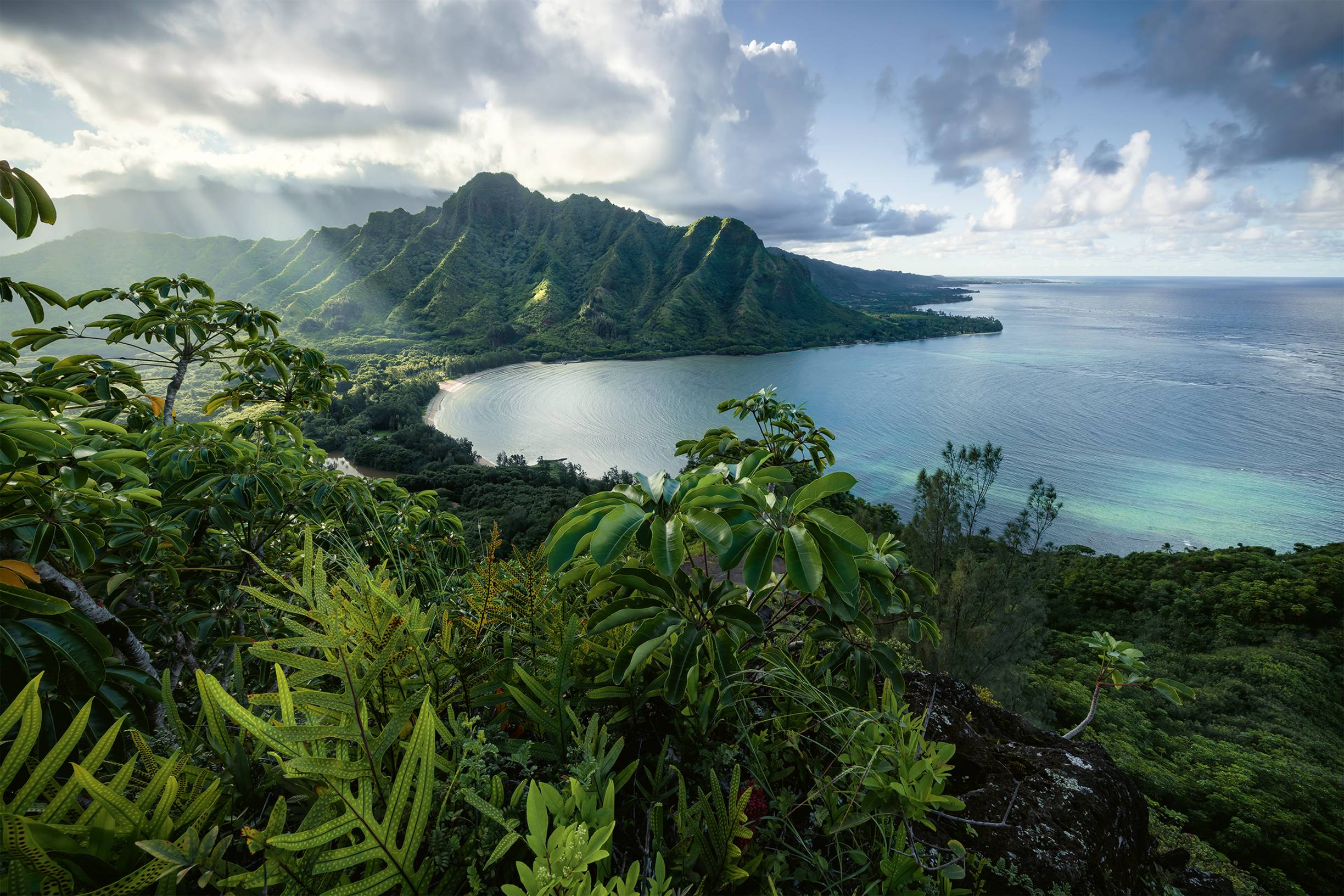16106 Atemberaubendes Hawaii 5000p 1 St.