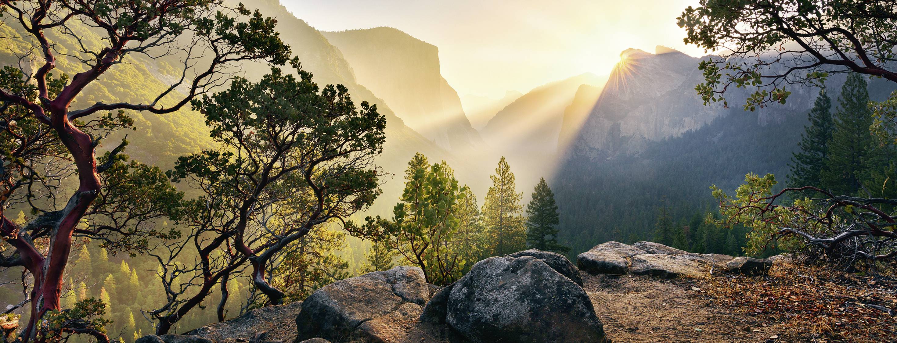 15083 Yosemite Park 1000p 1 St.