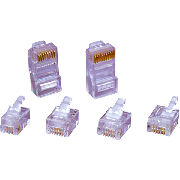 Encitech RJ48-10P10CR RJ45-Steckverbinder 6510-0104-05 Stecker, gerade Polzahl 10P10C Transparent 1