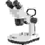 Kern OSE 421 OSE 421 Stereomikroskop Binokular 40 x Auflicht, Durchlicht
