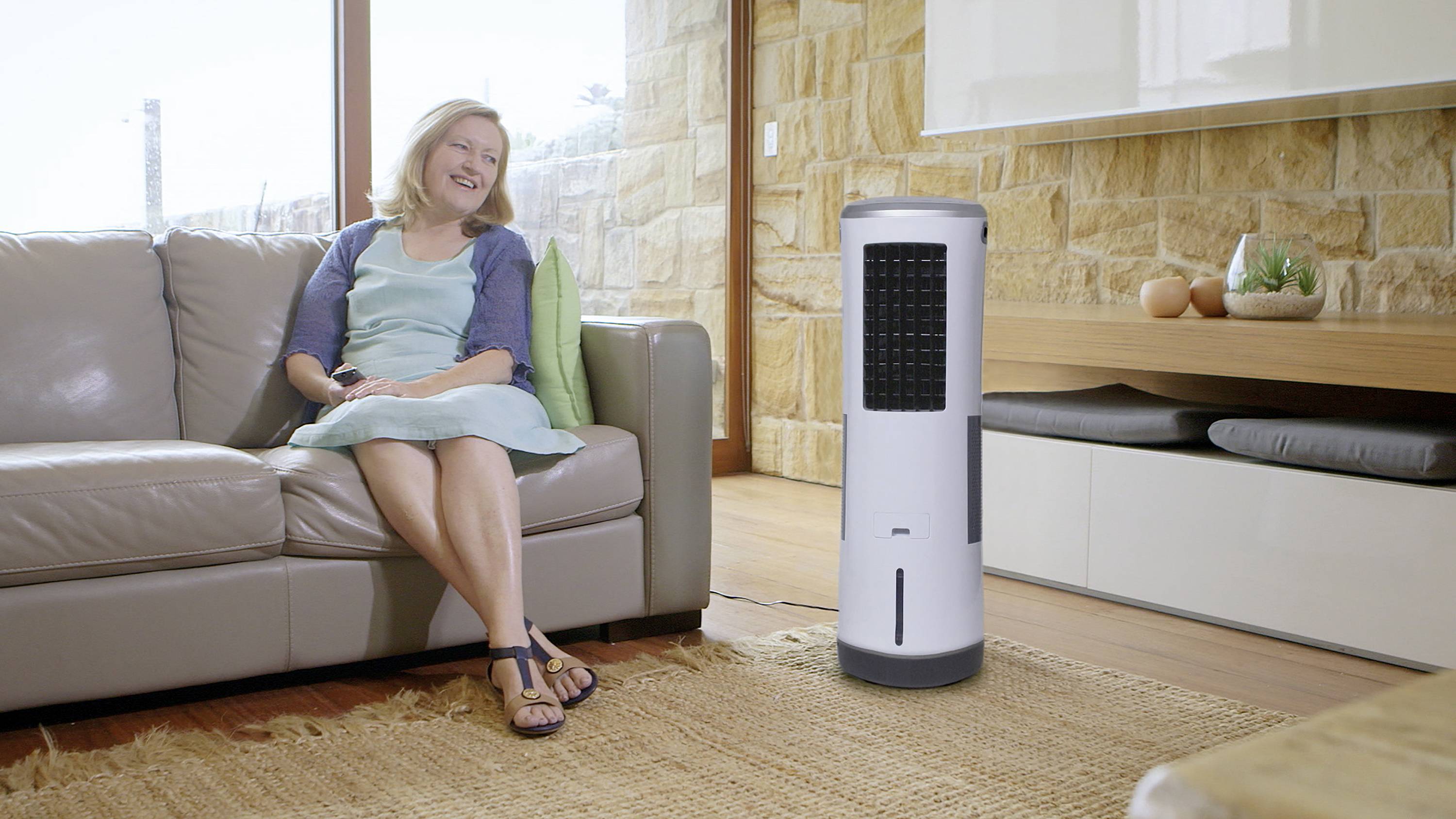 Livington InstaChill Luftkühler (Ø x H) 280 mm x 908 mm mit Fernbedienung