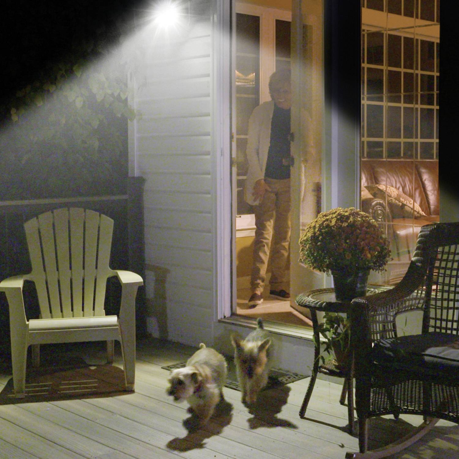 MediaShop Panta Safe Light M19175 Außenwandleuchte mit Bewegungsmelder 5W