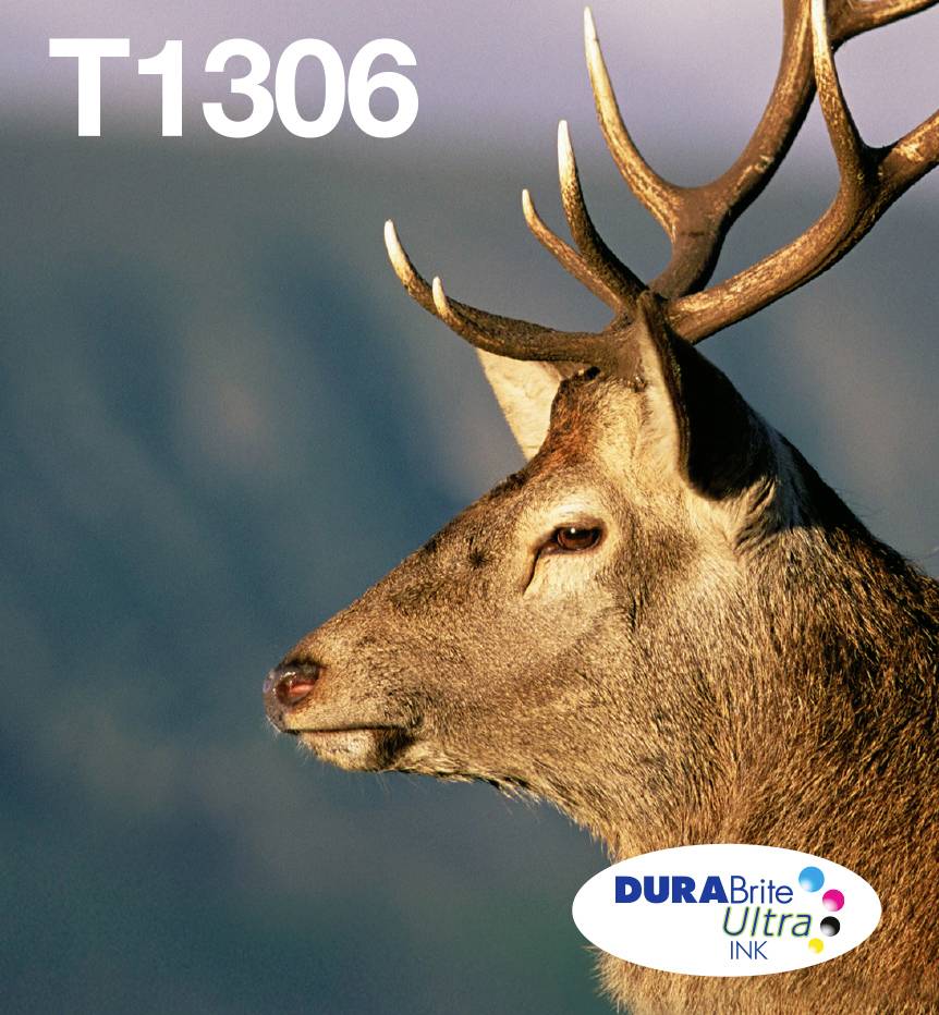 Epson Druckerpatrone T1306 Easy Mail Packaging Original Kombi-Pack Cyan, Magenta, Gelb C13T13064510