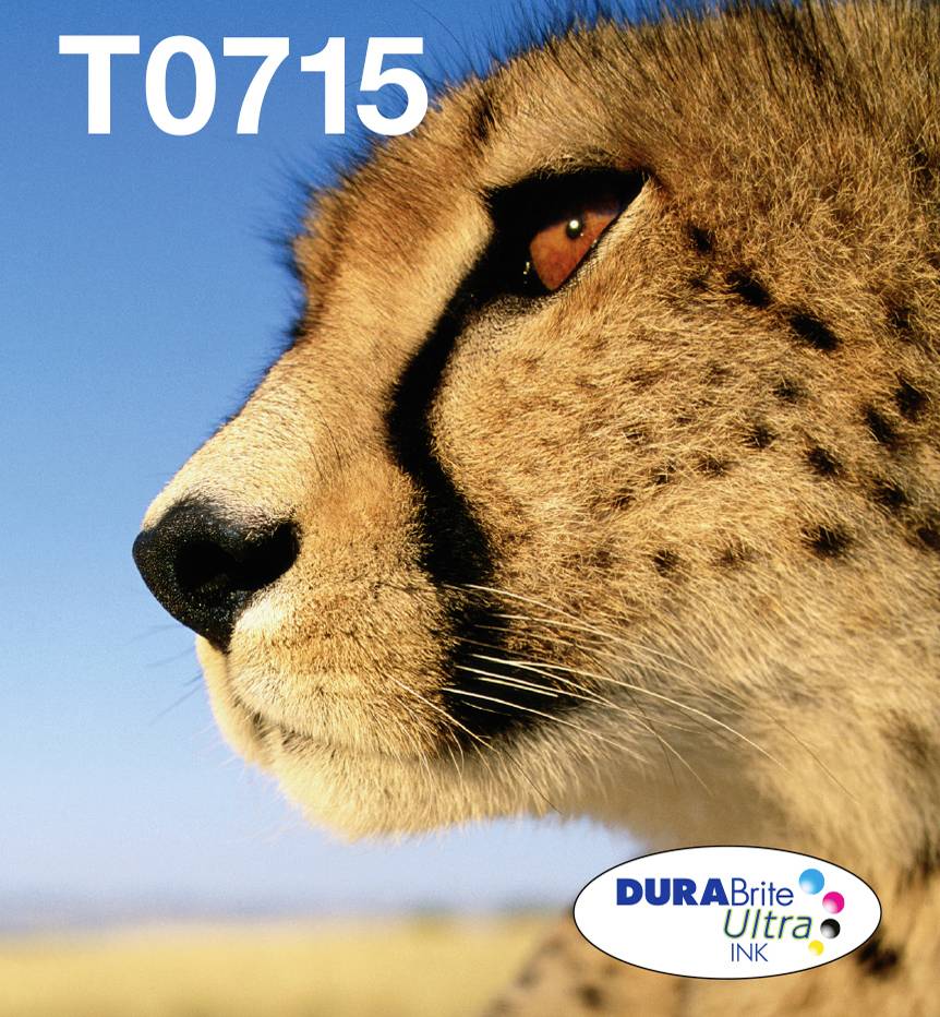 Epson Druckerpatrone T0715 Easy Mail Packaging Original Kombi-Pack Schwarz, Cyan, Magenta, Gelb C13T07154511