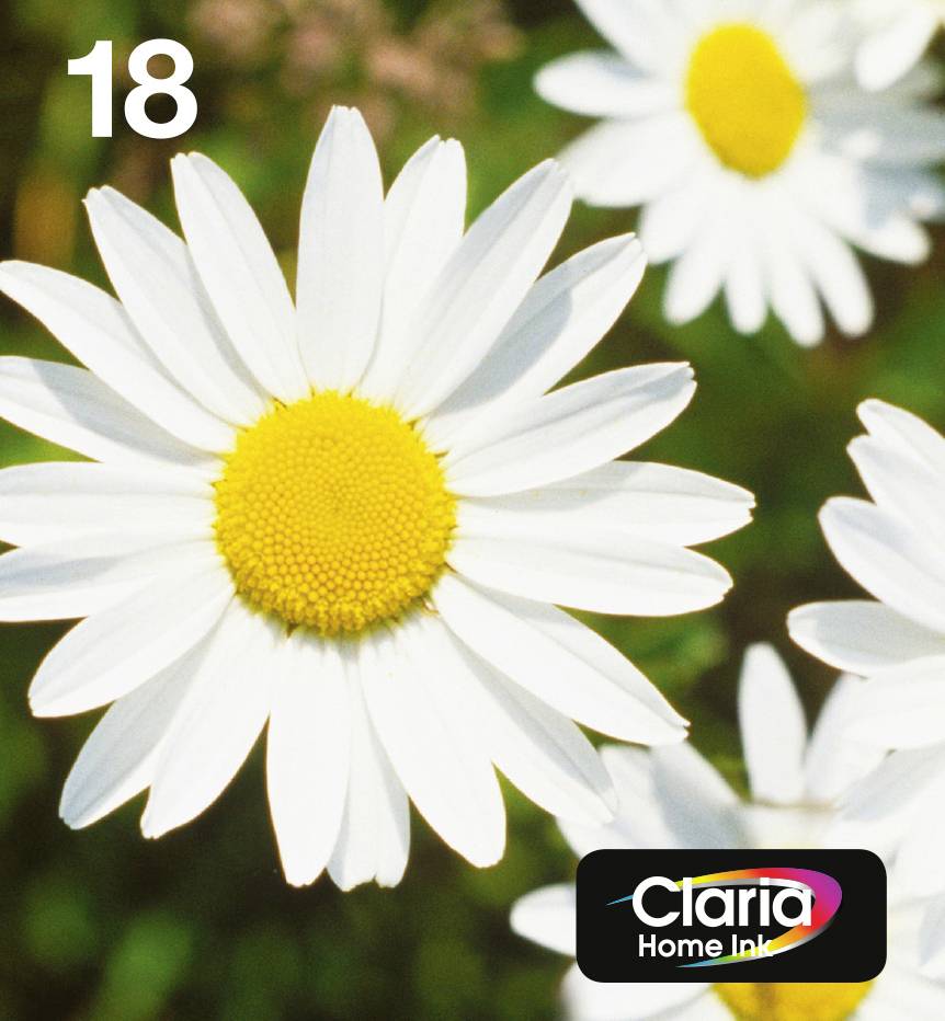 Epson Druckerpatrone T1806, 18 Easy Mail Packaging Original Kombi-Pack Schwarz, Cyan, Magenta, Gelb C13T18064511