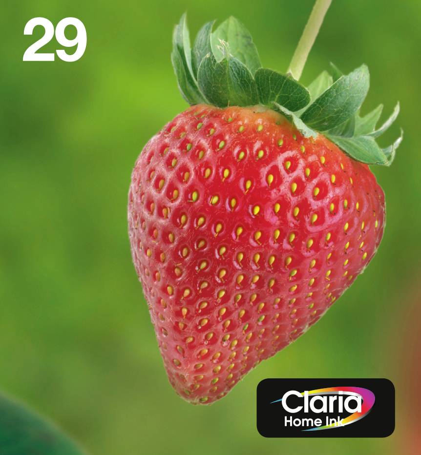 Epson Druckerpatrone T2986, 29 Easy Mail Packaging Original Kombi-Pack Schwarz, Cyan, Magenta, Gelb C13T29864511