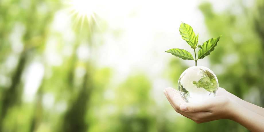 EDIMAX GS-1005E Netzwerk Switch RJ45 5 Port 1 GBit/s