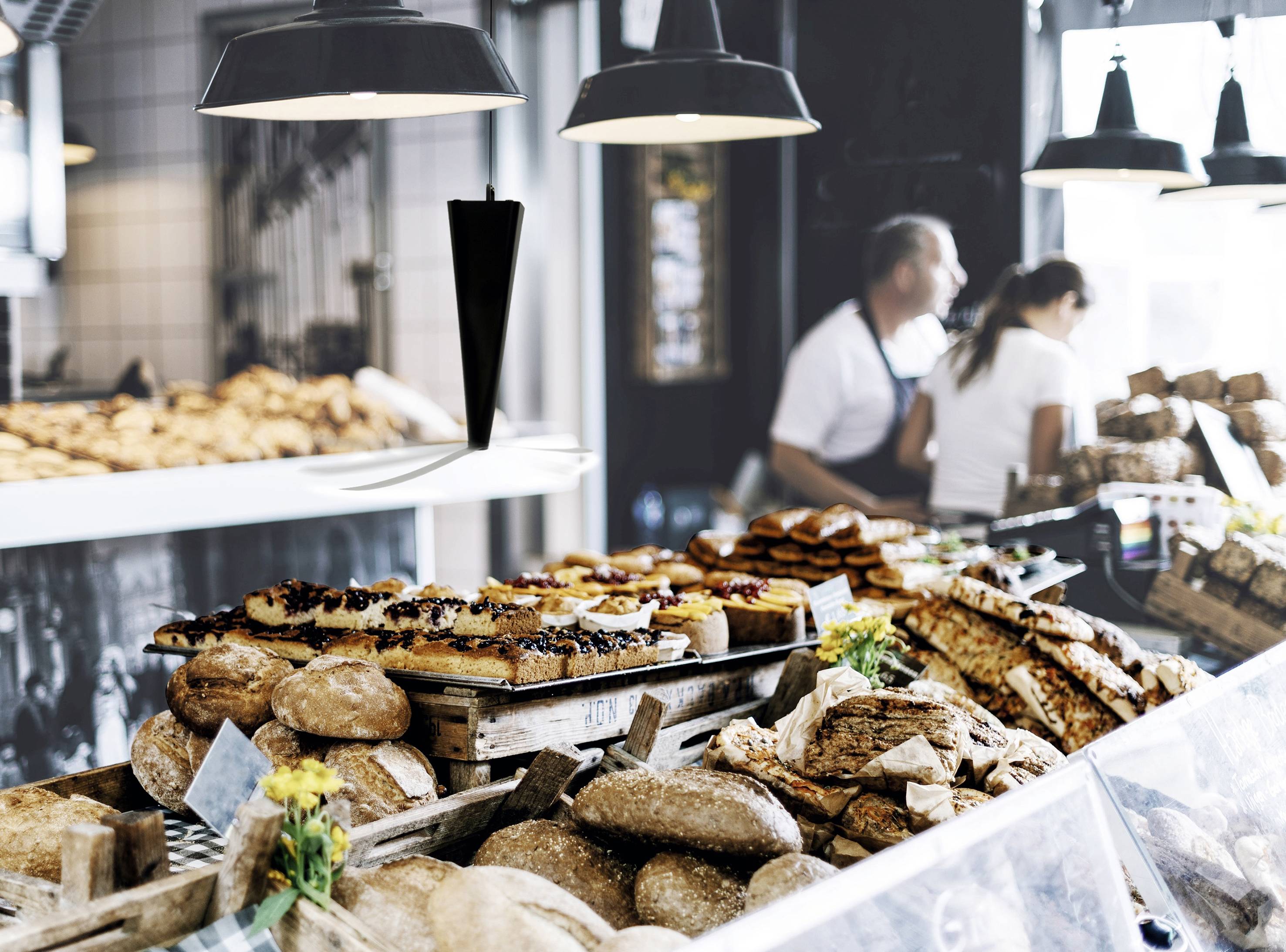 Gardigo Fly Scare profi inductive 25165 Insektenvertreiber Abschreckung (B x H x T) 95 x 265 x 95mm Schwarz 1St.