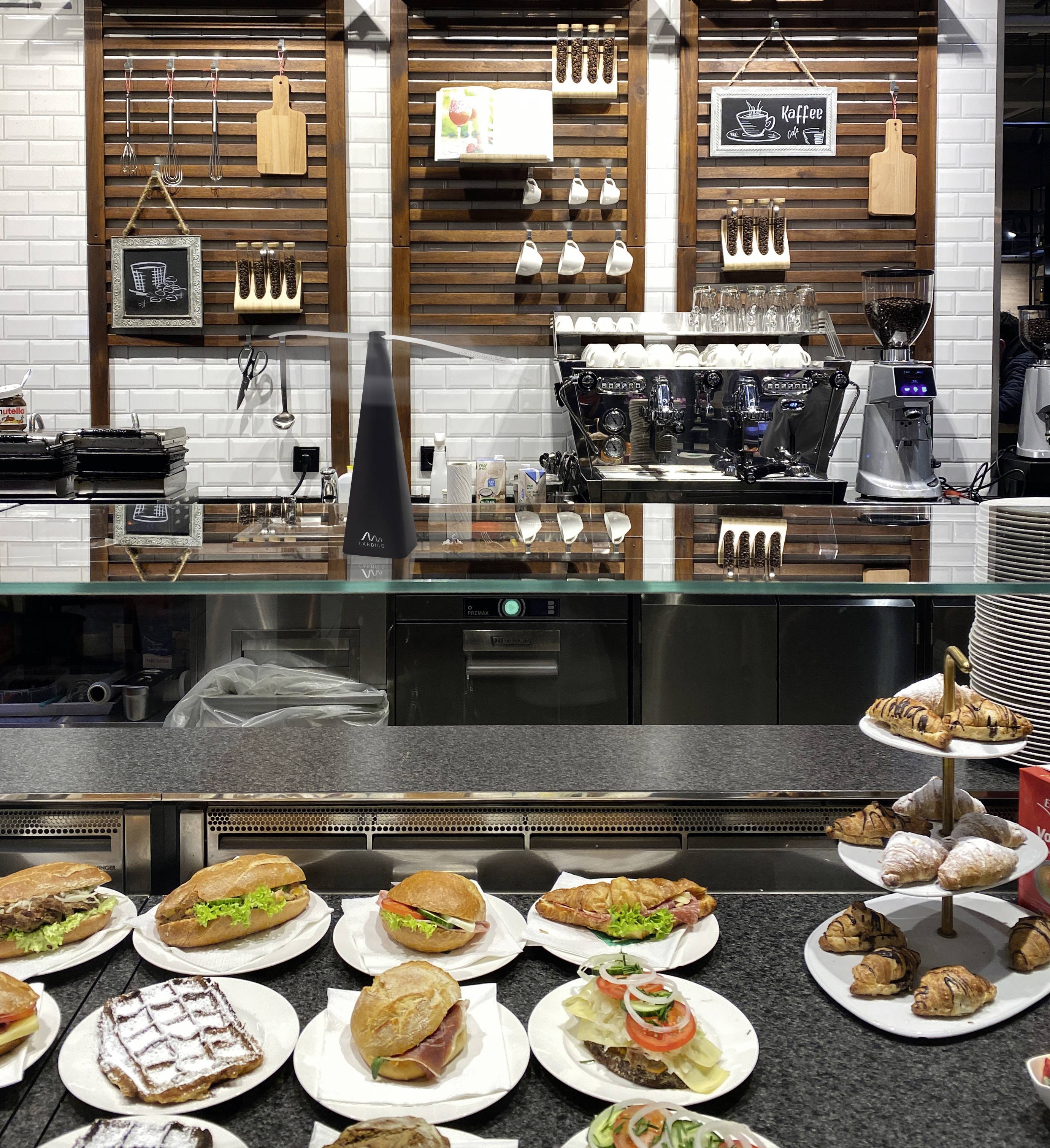 Gardigo Fly Scare profi inductive 25165 Insektenvertreiber Abschreckung (B x H x T) 95 x 265 x 95mm Schwarz 1St.