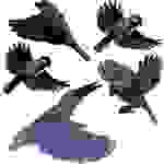 Autocollant de fenêtre d'oiseau Gardigo Stickers Native Birds Type de fonctions effet dissuasif 1 pc(s)