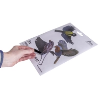 Gardigo Stickers Native Birds Fensteraufkleber Vogelbild Funktionsart Abschreckung 1St. Gardigo Stickers Native Birds Fensteraufkleber Vogelbild Funktionsart Abschreckung 1St.