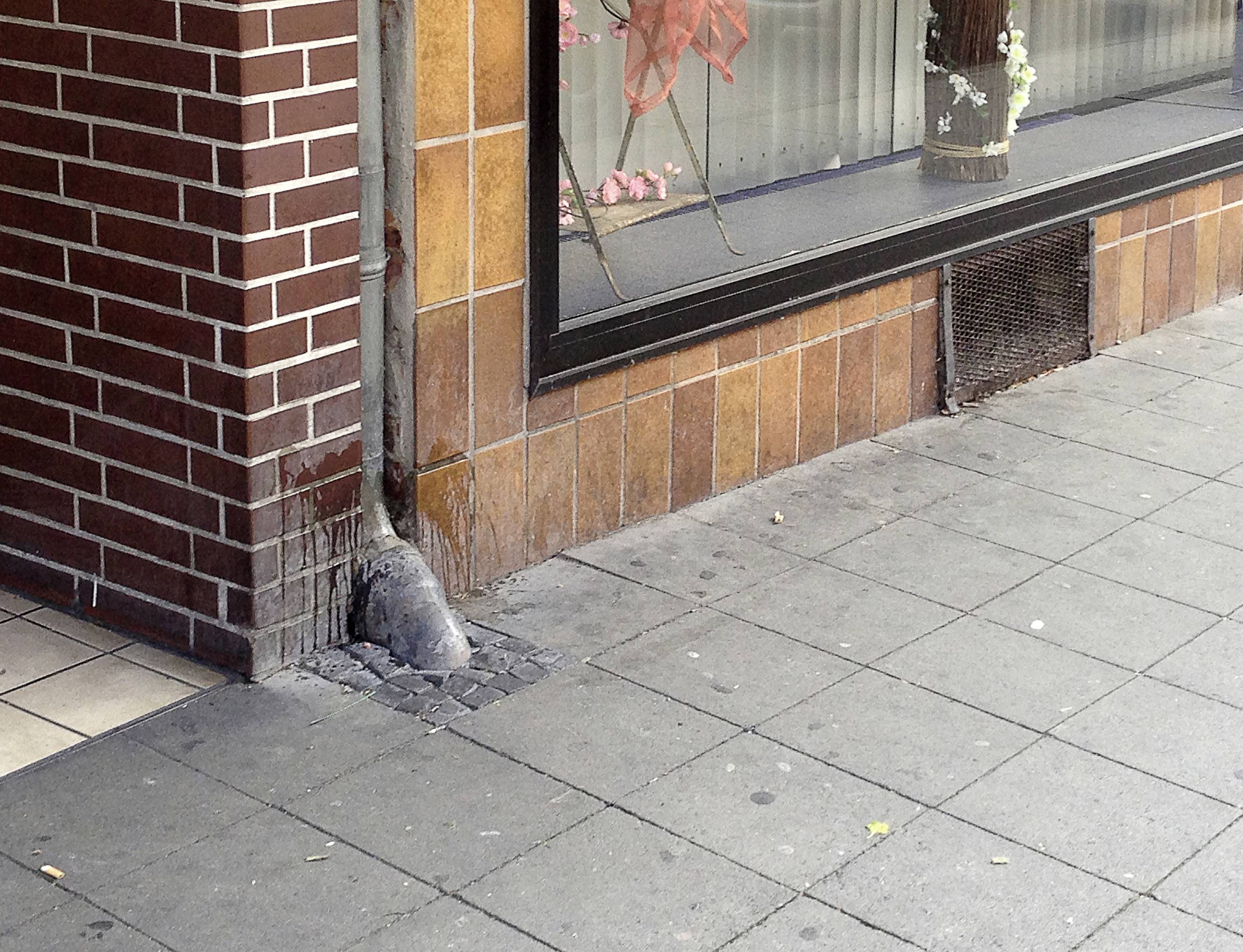 Gardigo Dog and Cat Tiervertreiber Funktionsart Ultraschall Wirkungsbereich 70 m² 1 St.