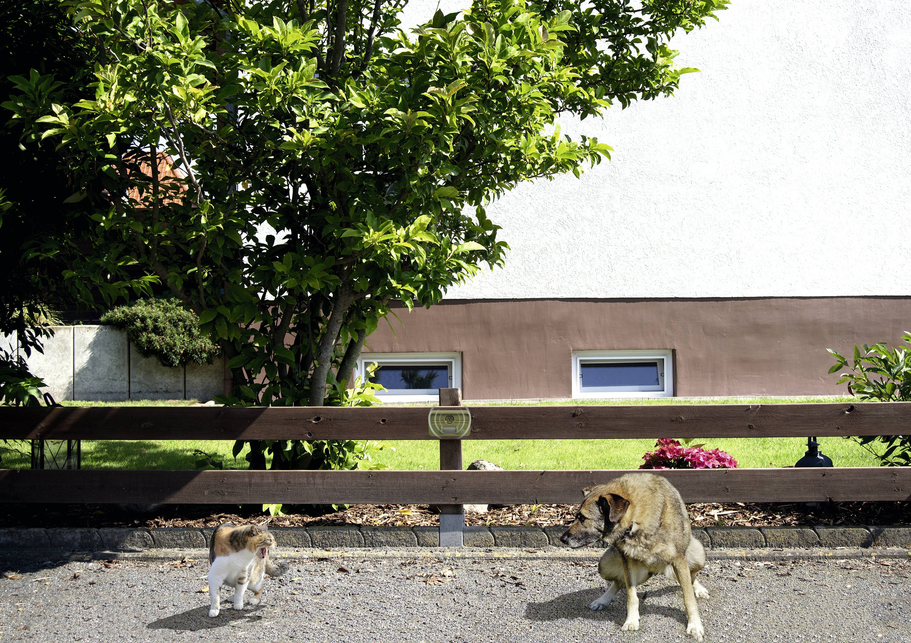Gardigo Dog and Cat Tiervertreiber Funktionsart Ultraschall Wirkungsbereich 70 m² 1 St.